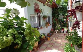 Casa Munteanu
